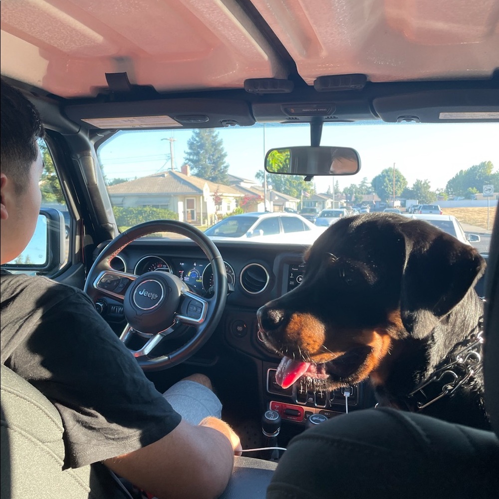 Meet your Posher, Daniel